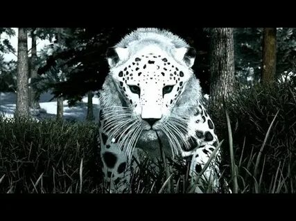 Wildlife mods