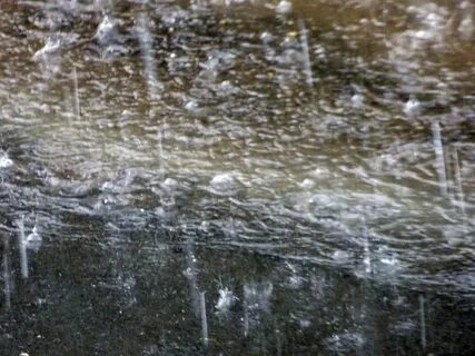 Почему на лужах пузыри во время дождя