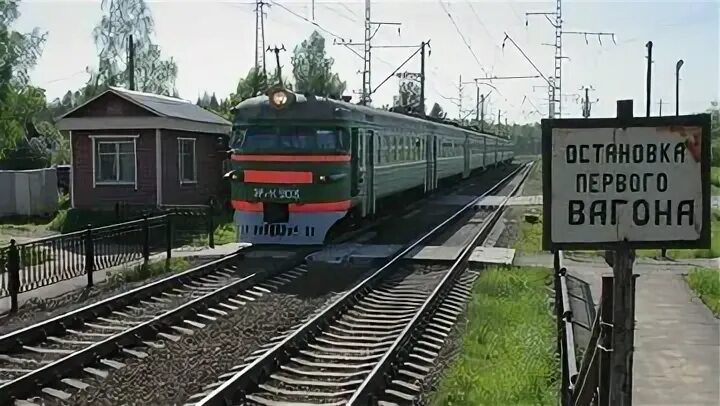 Электричка луговая