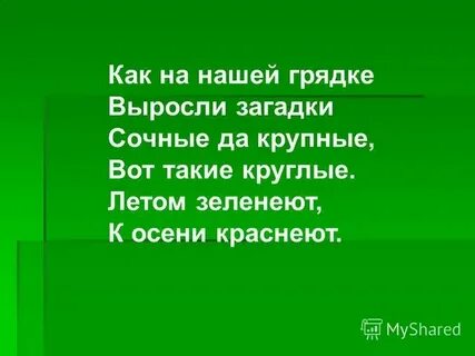 Наши поросятки выросли на грядке