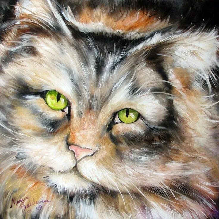 Кот масляными красками. Животные маслом. кошки в живописи. картины маслом животные. котик масляными красками.