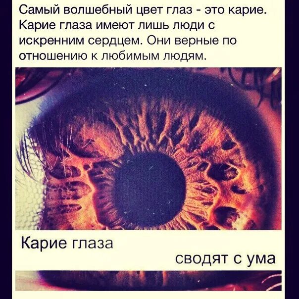 Твои карие глазки. Карие глаза. В карие глаза влюбляются. Карие глаза сводят с ума. Статусы про карие глаза.