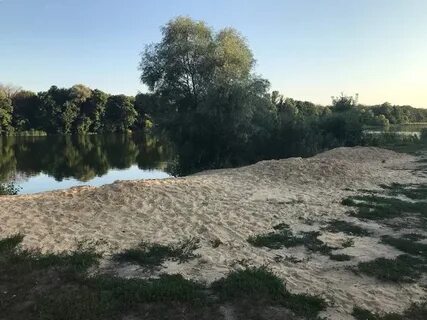 Ласка лиски