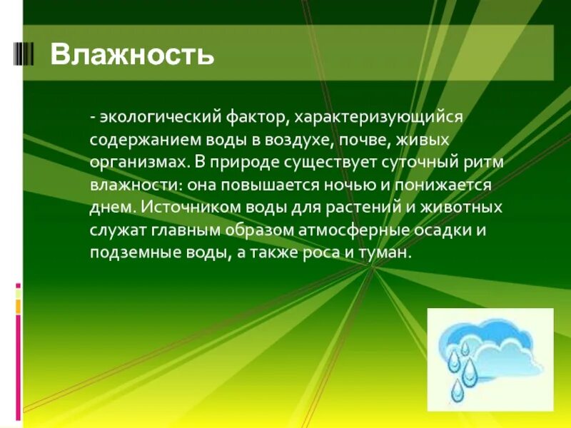 Влияние растений на жизнь животных