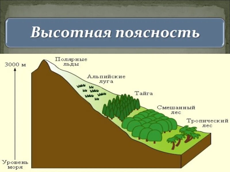 Как сменяются природные зоны. Высотная поясность (вертикальная зональность). Высотная поясность природных комплексов. Высотная поясность в горах. Зоны ВЫСОТНОЙ поясности в России.