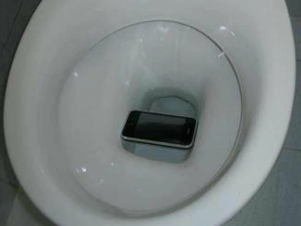 Что делать если телефон упал в унитаз. Смартфон упал в унитаз.