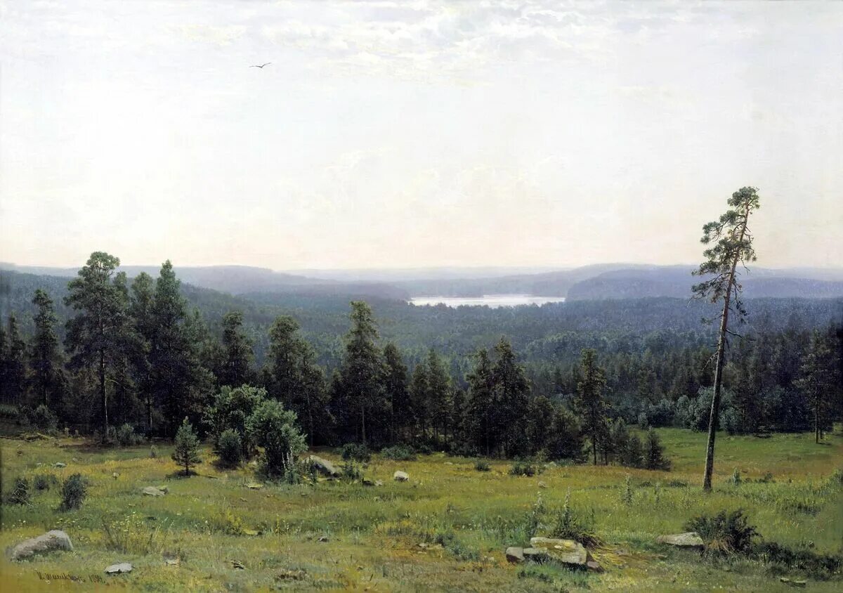 2. лесные дали текст. и. лесные дали, 1884. картина шишкина лесная даль.