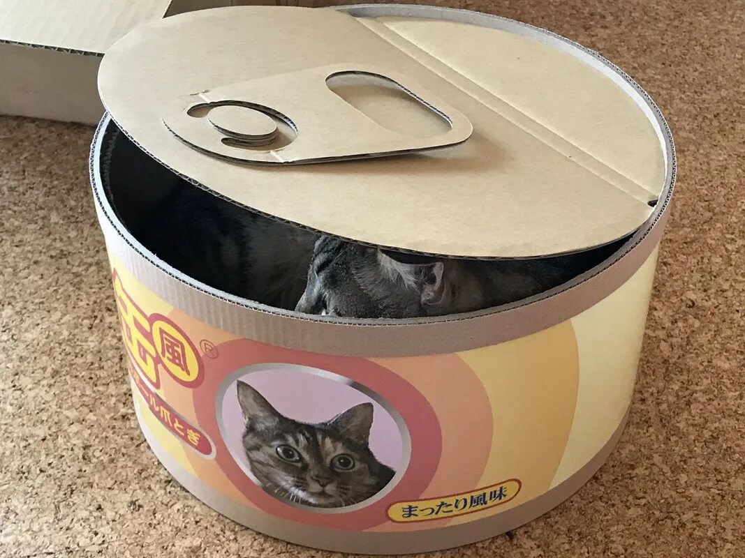 Кот в консерве. Консервная банка с котиком. Коты в банке. Кошка и консервные банки. Кошка ест консервы.