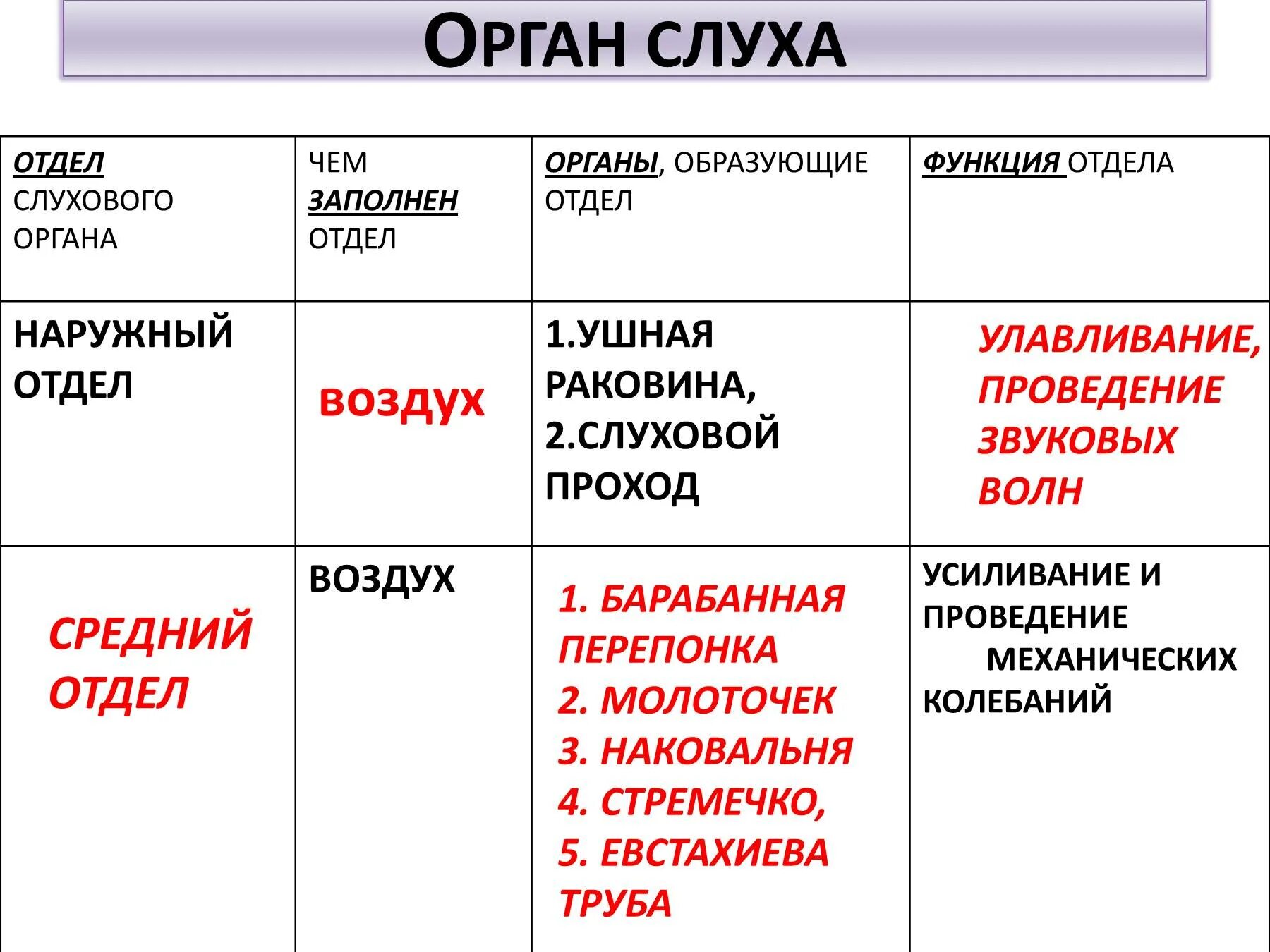 Таблица орган слуха 8 класс биология. Строение и функции органа слуха. Таблица строение органа слуха 8 класс по биологии. Таблица строение и функции отделов органа слуха. Тест орган слуха 8 класс