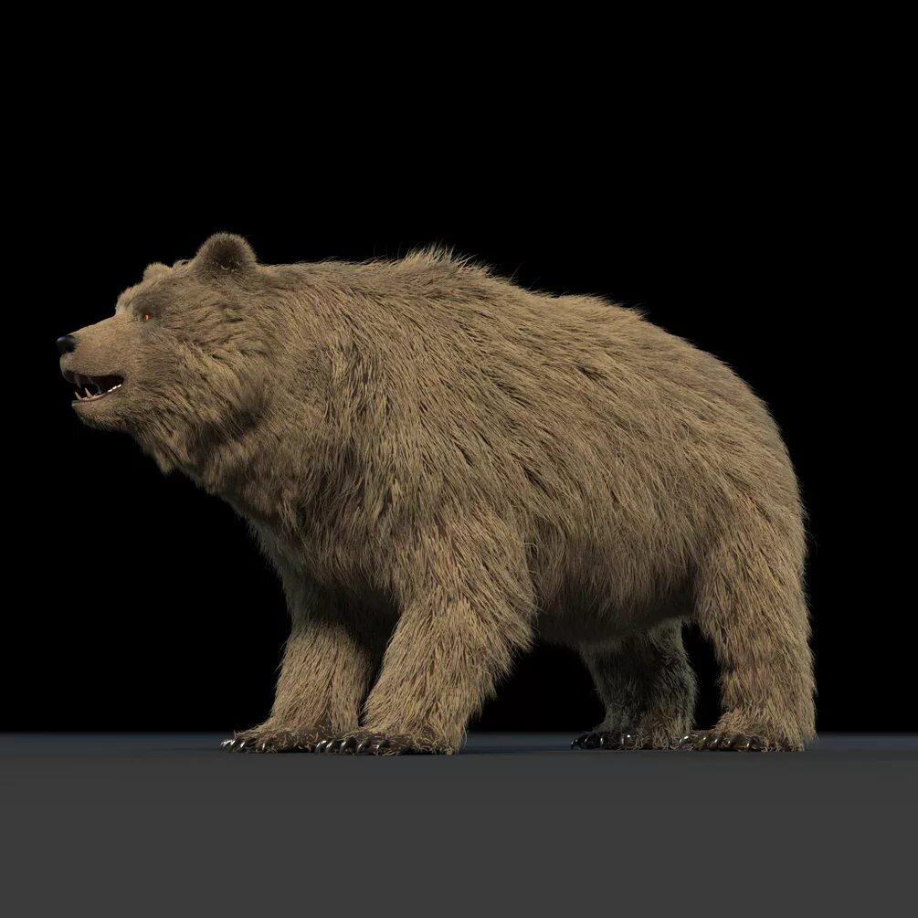 Медведь 3 0. Медведь 3d. пещерный медведь в российском музее. модель белого медведя. бурый медведь 3д.