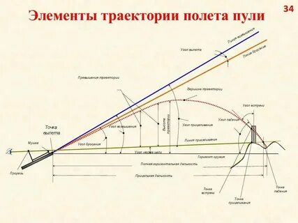 Полит или полет как правильно