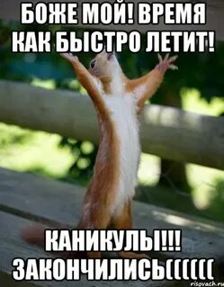 Каникулы закончились картинки