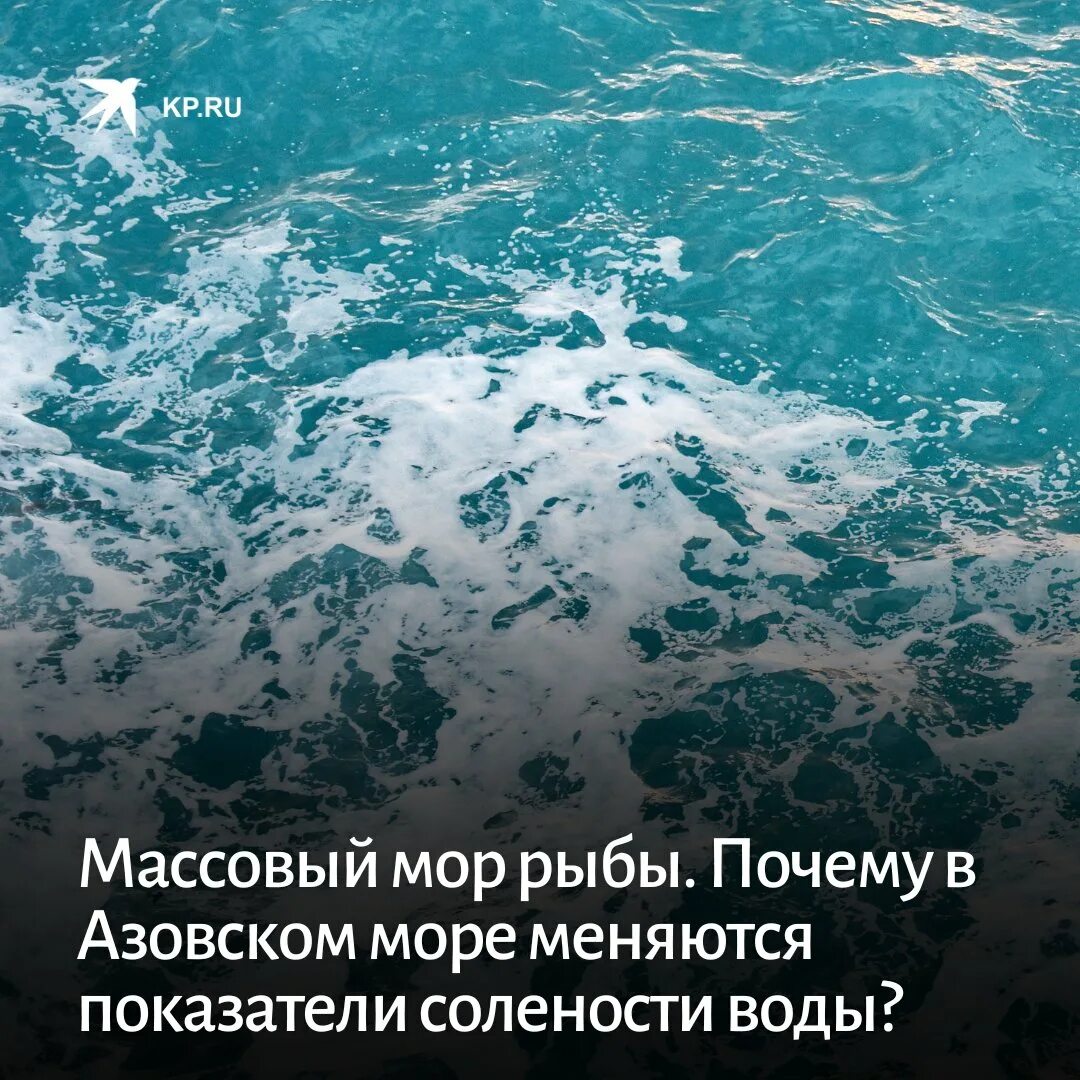 Соленые воды Азовского моря. Азовское море вода. Вода в Азовском море соленая или пресная. Азовское море цвет воды. Вода азовская 1