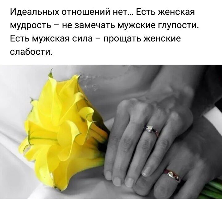 Мужская мудрость не замечать женские. Идеальных отношений нет. Идеальных отношений нет есть женская мудрость. Прощать женские слабости. Есть мужская сила прощать женские слабости.