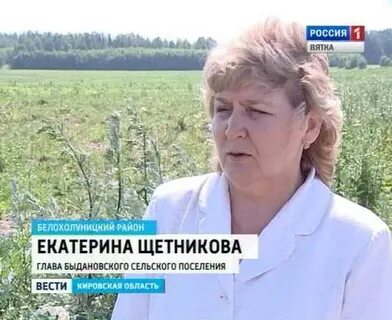 Погода полом белохолуницкий