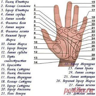 Читать линия жизни 8 класс