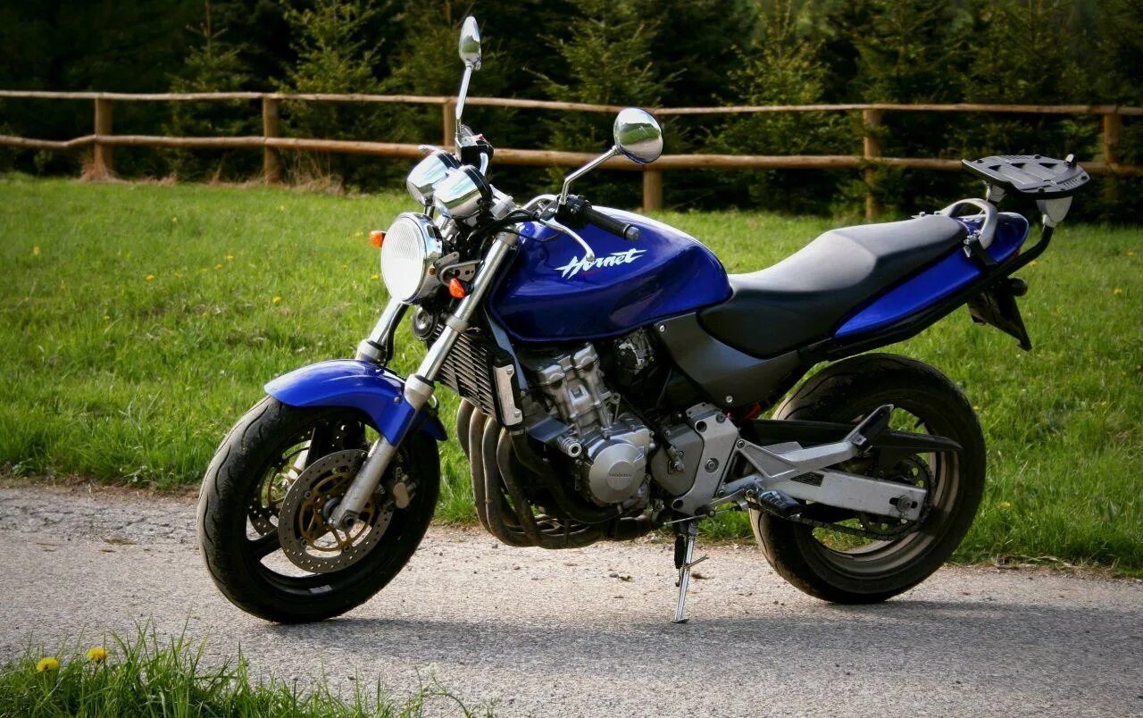 Honda cb600f Hornet. Honda CB 600 Hornet. Хонда св 600 Hornet. Honda SB 600 Hornet. Мотоцикл honda hornet