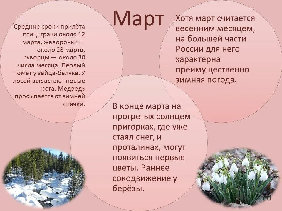 Доклад на тему март