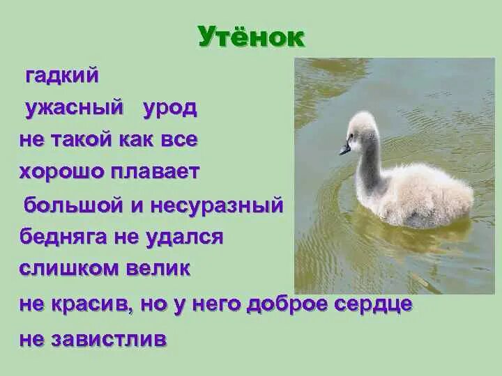 Х андерсен гадкий утенок 3 класс. Г. Презентация гадкий утенок. План гадкий утенок 3 класс. Гадкий утенок 3 класс литературное чтение конспект.