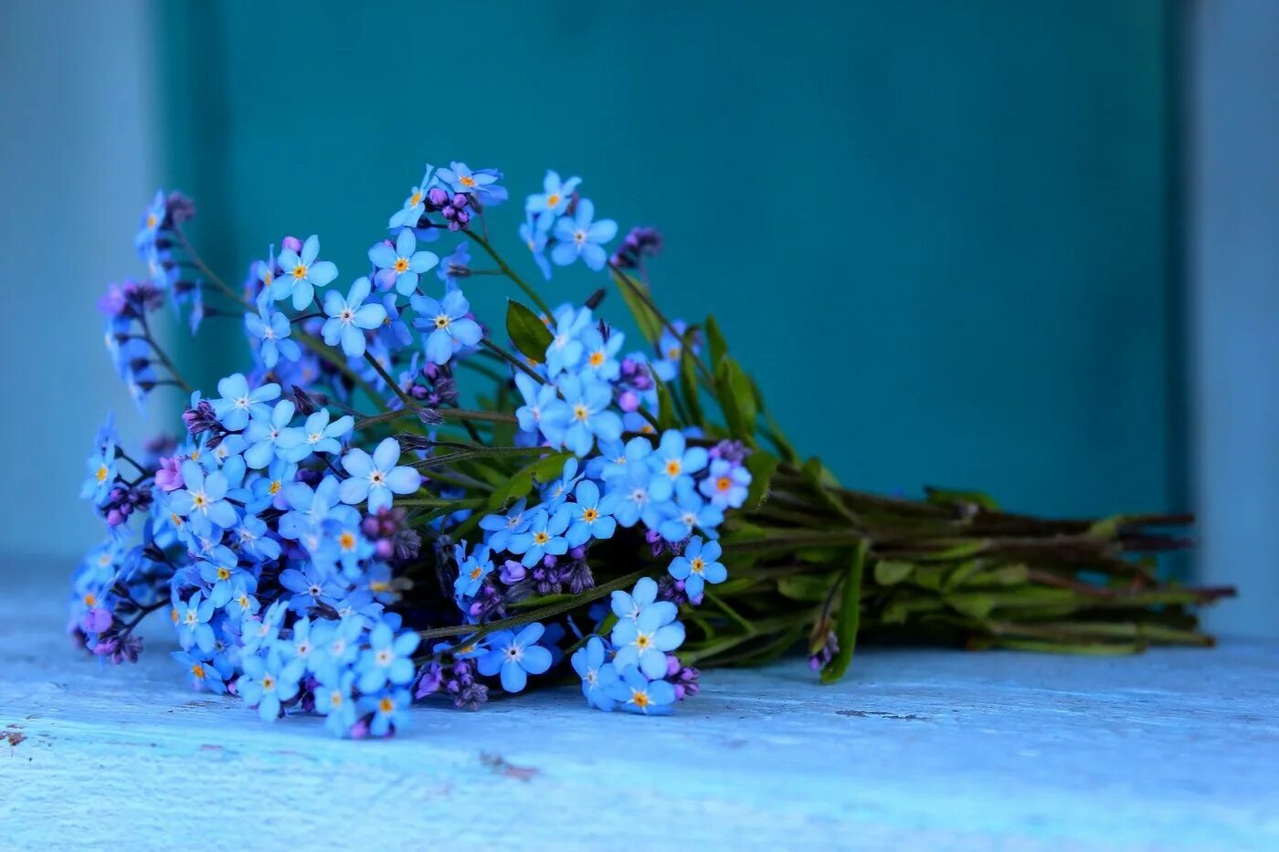 Цветы незабудки букет. Ландыши мускари незабудки. Незабудка кустовая. Голубые незабудки букетик.