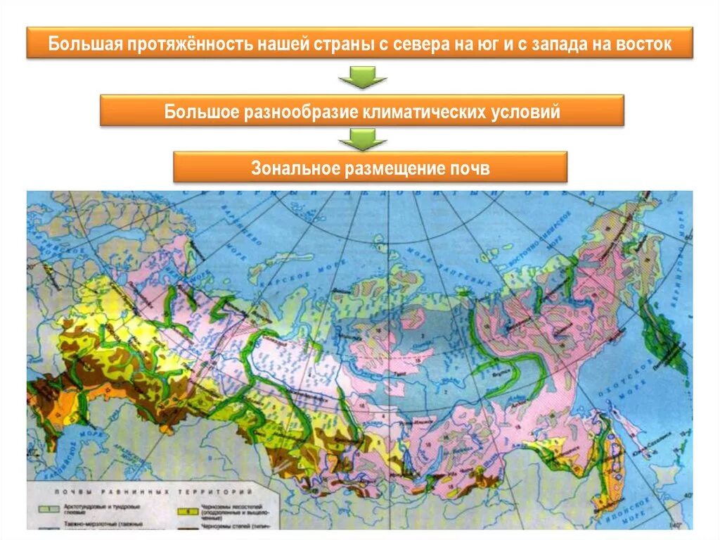 Порядок почв с севера на юг. Зональное размещение почв это. Почвы России с севера на Юг. Карта почвообразующих пород России. Плодородия почв севера на Юг.