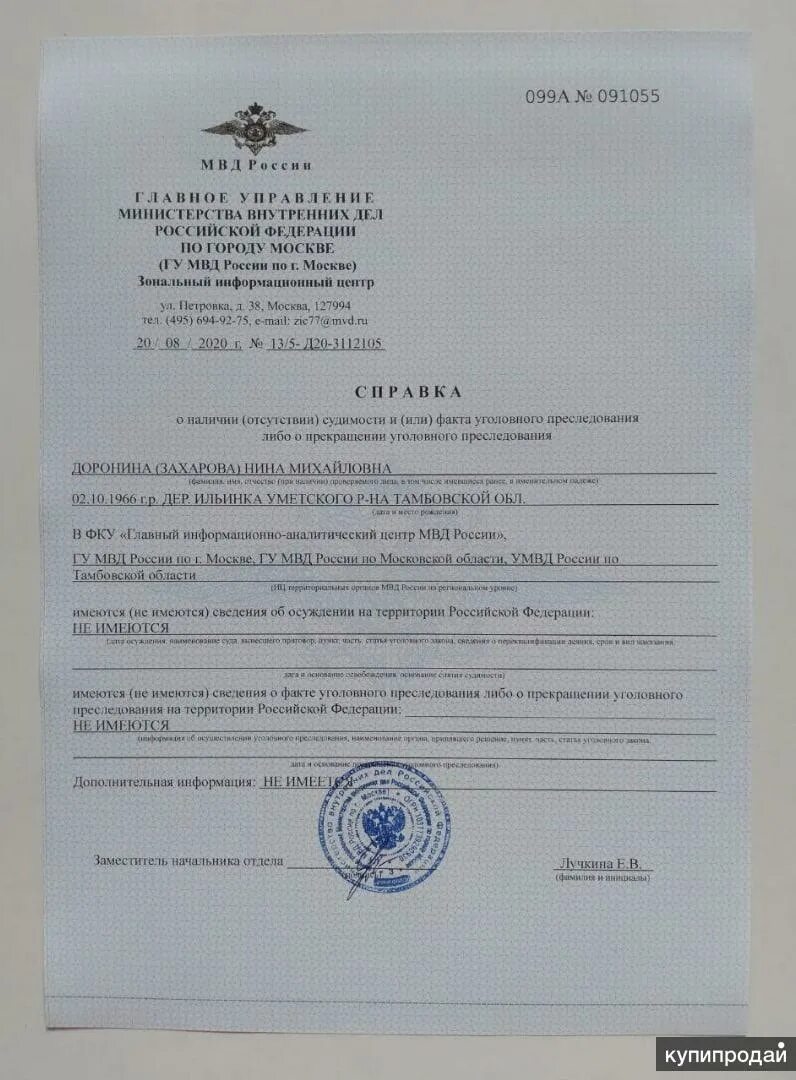 Запись об отсутствии судимости. Запись об отсутствии судимости