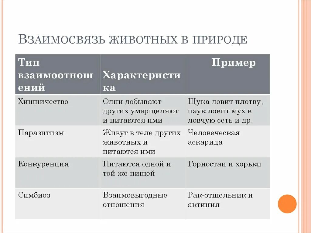 Типы взаимодействия популяций разных видов таблица. Типы взаимоотношений между животными таблица. Взаимоотношения животных в природе. Типы взаимоотношений животных таблица. Типы взаимоотношений в природе.