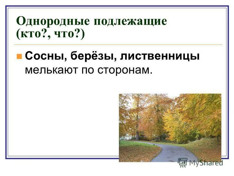 Однородные подлежащие это какие