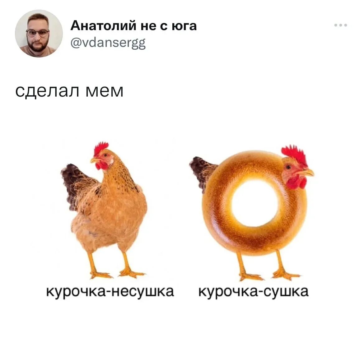 Курицы б на втором году