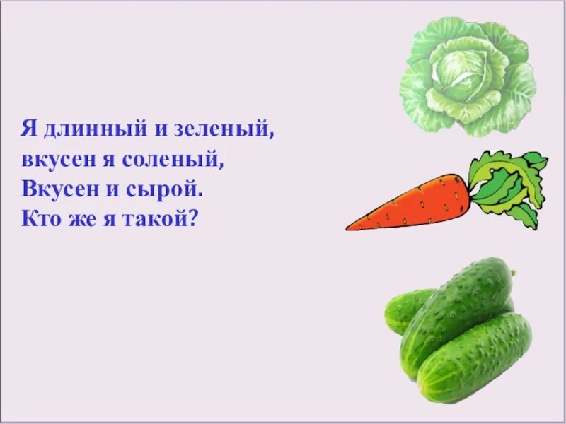 Я длинный и зеленый вкусен я соленый