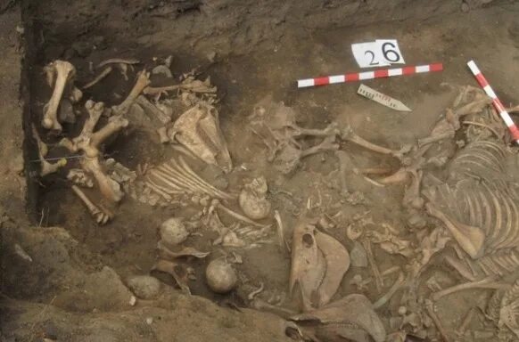 найденное на полях сражения. раскопки в калужской области великая отечественная война. эхо войны останки солдат. найденное на полях сражения. находки на бородинском поле.