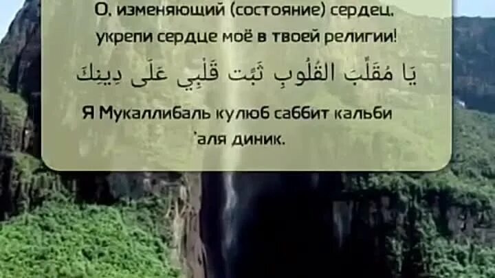 Укрепи мое сердце в твоей религии. О изменяющий состояние сердец укрепи мое. О переворачивающий сердца укрепи мое сердце. О изменяющий состояние сердец укрепи. О изменяющий сердца укрепи.