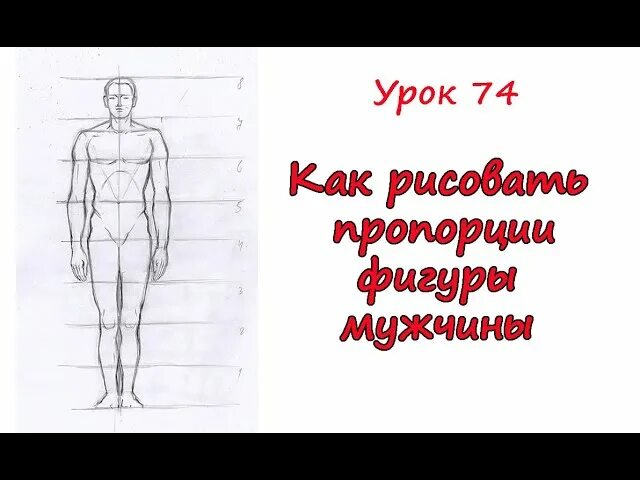 Пропорции человека. Пропорции фигуры человека. Рисование фигуры человека по пропорциям. Мужская фигура для рисования.