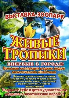Выставка зоопарк живые тропики