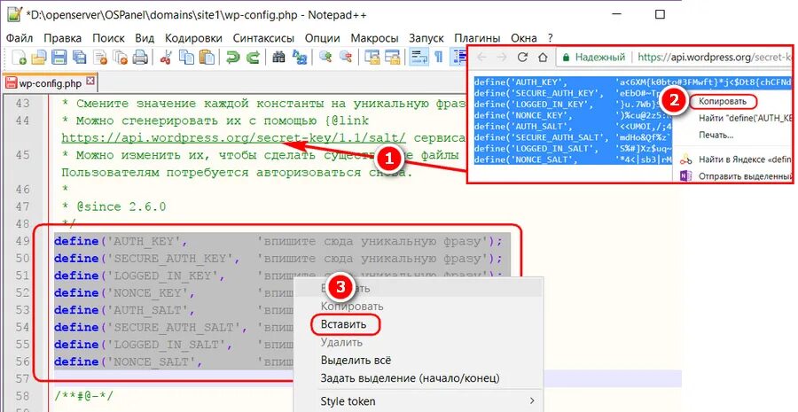 Сервер openserver. Openserver интерфейс. опен сервер. установка open server panel. open server panel логотип.