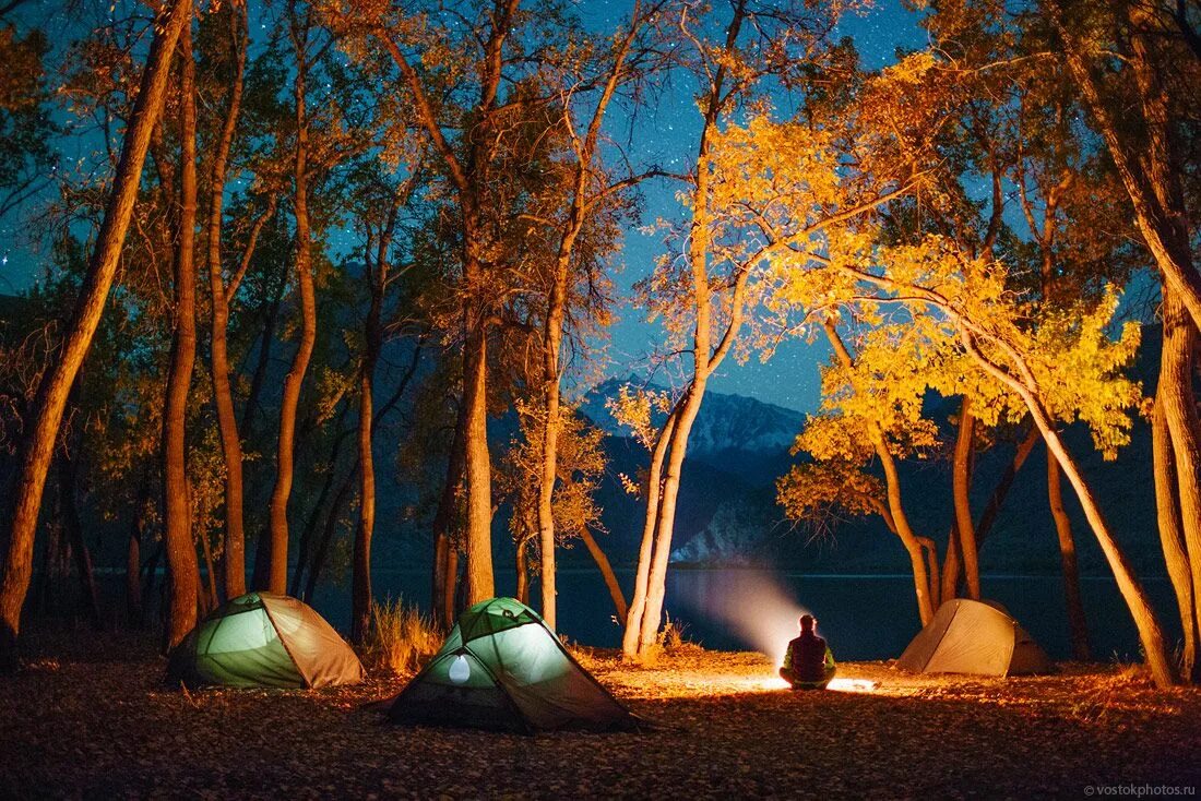 Night camp. Палатка в лесу. Палатка костер. Лес палатка костер. Палатка в лесу ночью.