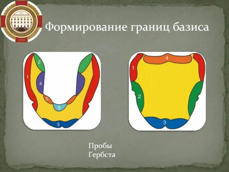 Функциональные пробы по гербсту. Пробы гербста. пробы гербста на верхней челюсти. пробы гербста на нижней челюсти.