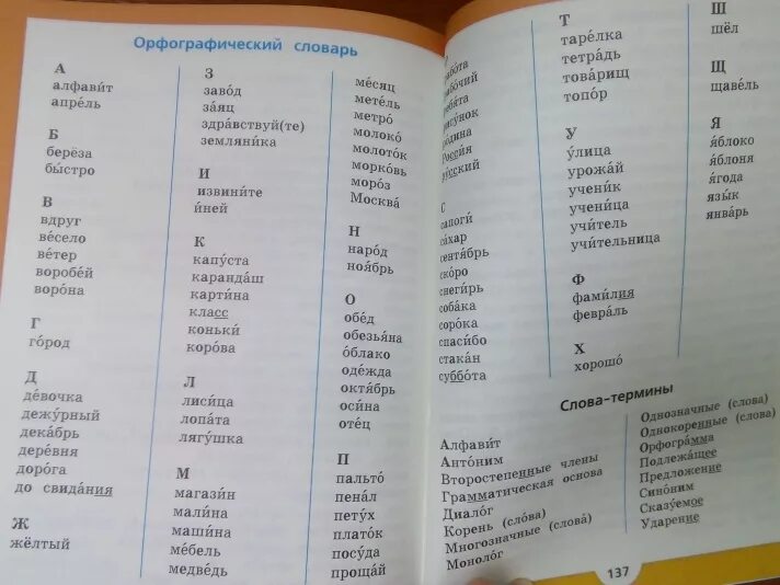 Слова по русскому языку 3 класс. Слова по русскому языку 3 класс