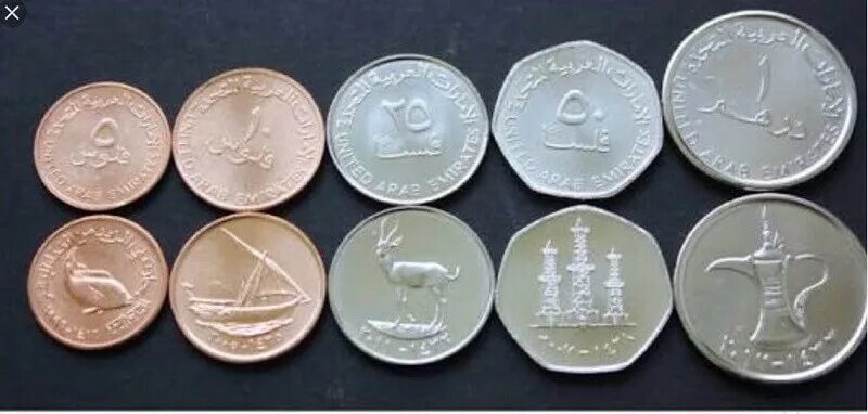 носорог. 500 дирхам. 229 дирхам в рублях. 229 дирхам в рублях. монеты оаэ 1 дирхам.