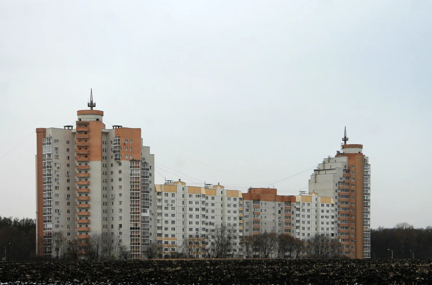 24/1. Березовая роща, д. Роща 24. Березовая роща 24/1 воронеж. Березовая роща 24/1.