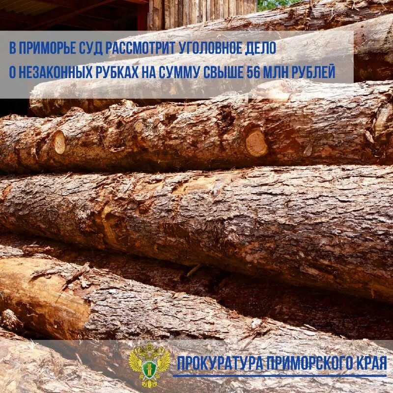 260 ук. 260 ук. вырубка лесных насаждений. 260 ук. статья 260.