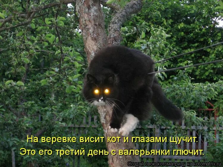 Омск чокана валиханова ночью. Доктор шутит. Предложение со словом before. Предложение со словом before. Что там висит.