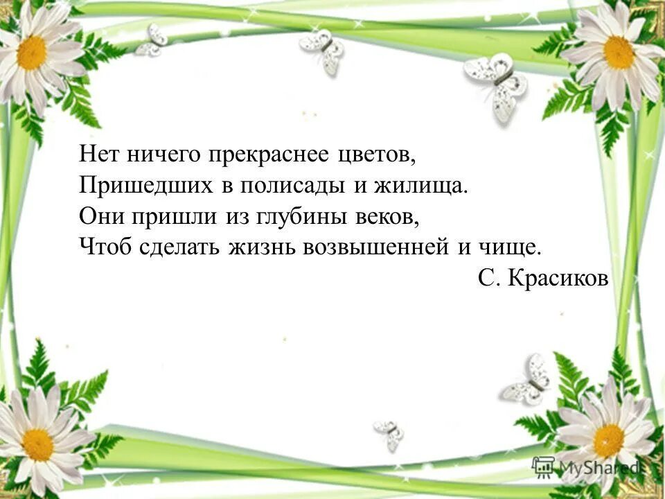 В природе нет ничего прелестнее. Нет ничего прекраснее цитаты. Нет прекраснее. Нет ничего прекраснее цветов статусы. Познавательная программа «нет ничего прекраснее цветов».