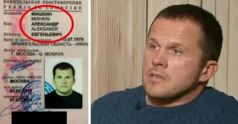 Мишкин данные