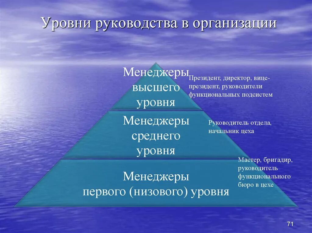 Уровни руководства организации