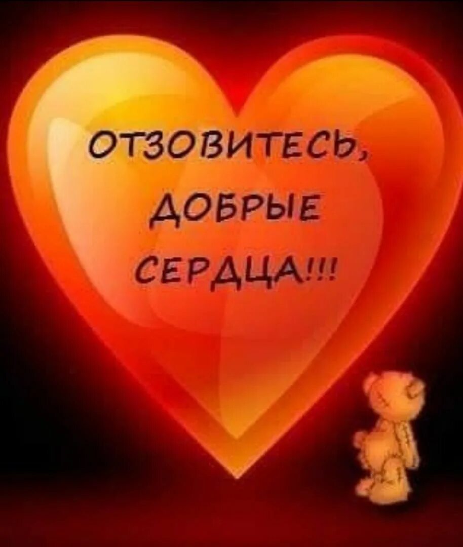 Доброе сердце картинки. Ищу дом. Комаров всегда ищите добра. Ищу добрые ручки. От добра добра не ищут.