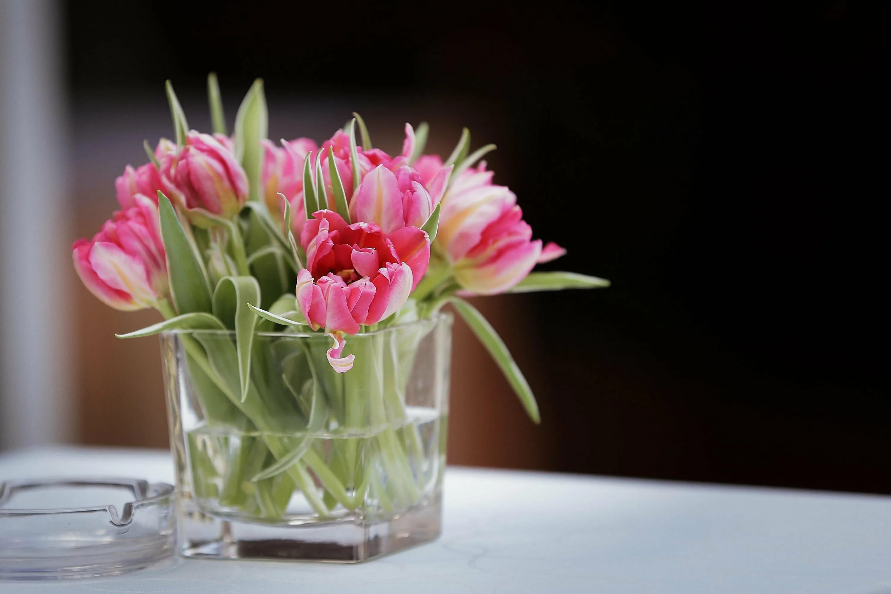 Тюльпаны в вазе. Тюльпаны в стеклянной вазе. Нежные тюльпаны. Ваза с тюльпанами.