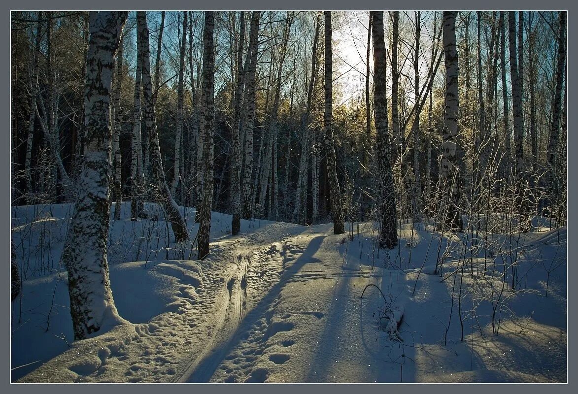 Сильный утренний мороз. Хорошо здесь и Шелест и хруст с каждым. Шелест леса. Снег текстура Лыжня. Ахматова хорошо здесь и Шелест и хруст.