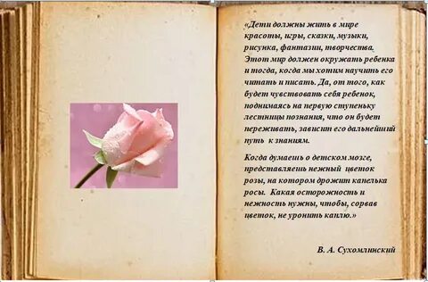 В цвету читать