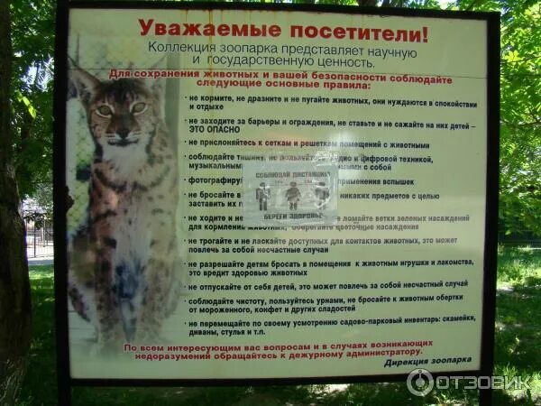 Таблички в зоопарке. Уважаемые посетители зоопарка. Объявление о сокращенном рабочем дне. Таблички в зоопарке. Объявление зоопарк.